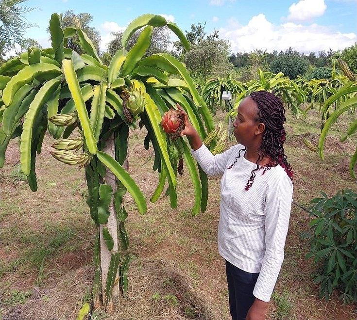 On-site review of a pilot project demonstrating locally grounded approaches to adaptation and mitigation
