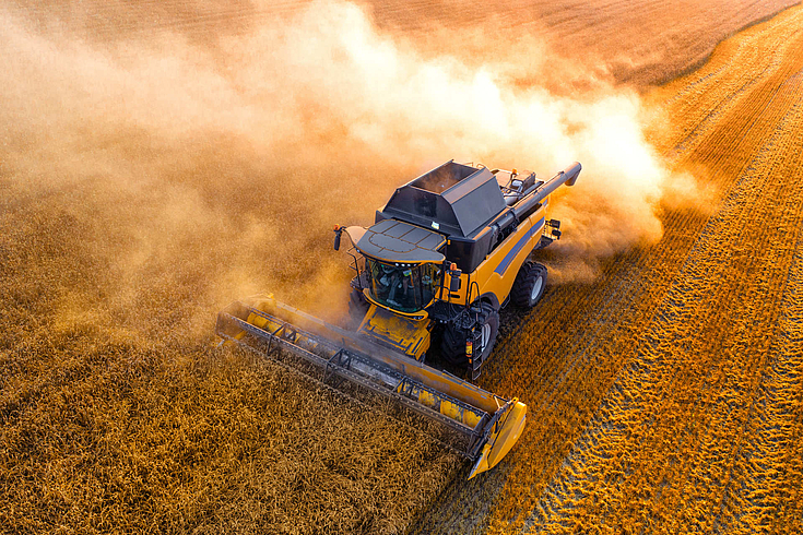 Ukrainische Landwirtschaft: Weizen- und Getreideernte. 